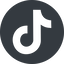 Normal, solid, circle, brand, social, network, tiktok, tik, tok, tik-tok, tiktok-solid icon