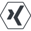 Thin, line, hexagon, social, network, professional, job, xing icon