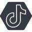 Thin, solid, hexagon, brand, social, network, tiktok, tik, tok, tik-tok, tiktok-thin icon