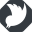 Right, normal, solid, octagon, logo, brand, horizontal, mirror, social, twitter, bird, twit, twitter-solid icon