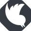 Right, normal, solid, octagon, logo, brand, social, twitter, bird, twit, twitter-solid icon