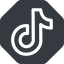 Normal, solid, octagon, brand, social, network, tiktok, tik, tok, tik-tok icon