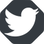 Up, normal, solid, octagon, logo, brand, social, twitter, bird, twit, twitter-solid icon