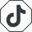 Thin, line, octagon, brand, social, network, tiktok, tik, tok, tik-tok, tiktok-solid icon