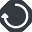 Right, wide, solid, octagon, horizontal, mirror, arrow, reload, refresh, undo, redo, restore, undo-wide icon
