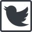 Line, up, normal, square, logo, brand, horizontal, mirror, social, twitter, bird, twit, twitter-solid icon