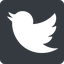Up, normal, solid, square, logo, brand, horizontal, mirror, social, twitter, bird, twit, twitter-solid icon