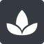Normal, solid, square, spa, zen, lotus, flower, lotus-solid icon