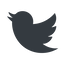 Up, normal, solid, logo, brand, horizontal, mirror, social, twitter, bird, twit, twitter-solid icon